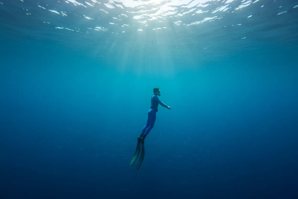 Freedive Freedive Aotearoa
