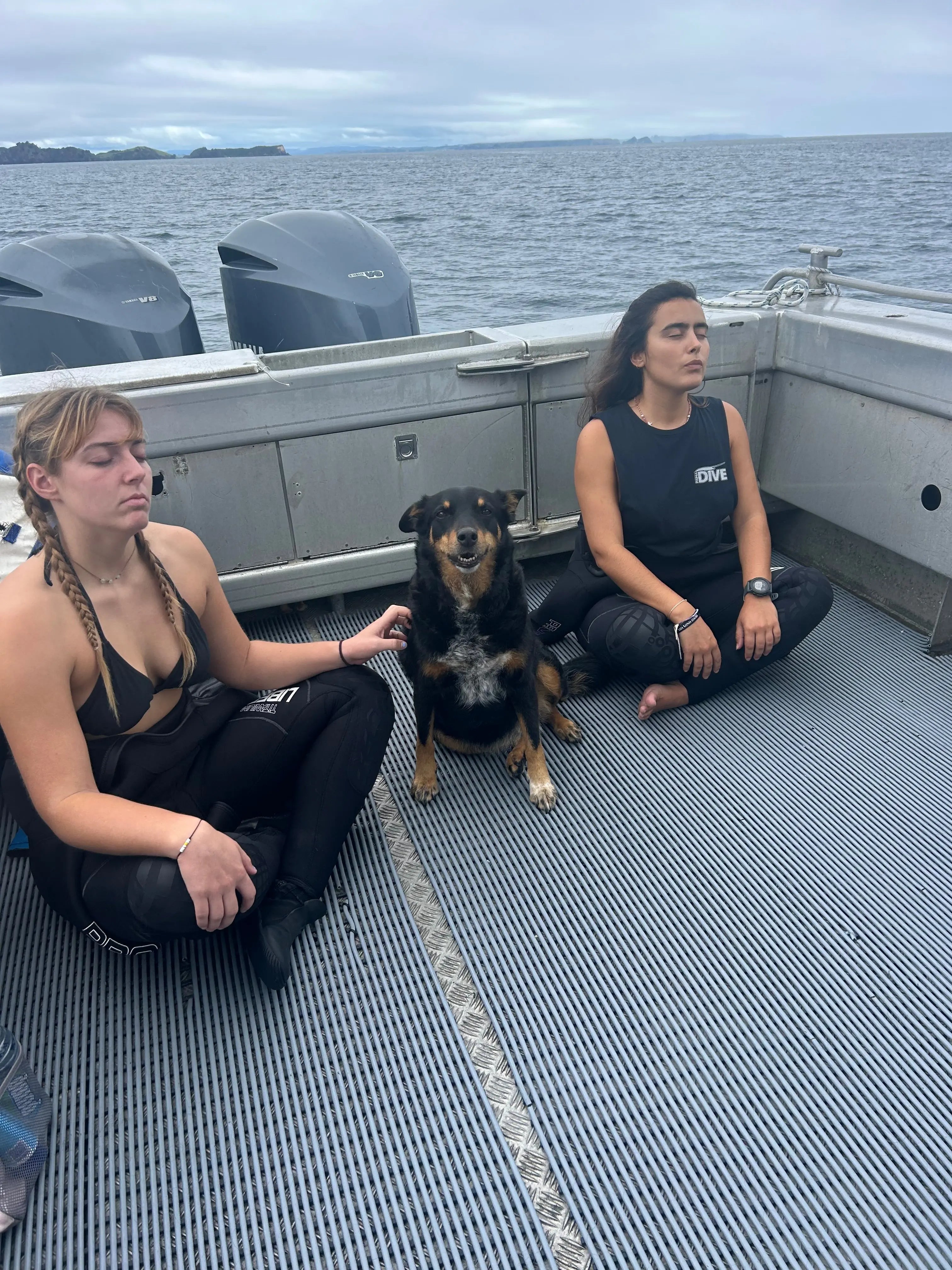 Calm on Both Ends of the Lead — Dog Handler Breathwork Freedive Aotearoa