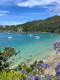Sauna & Plunge Freedive Aotearoa