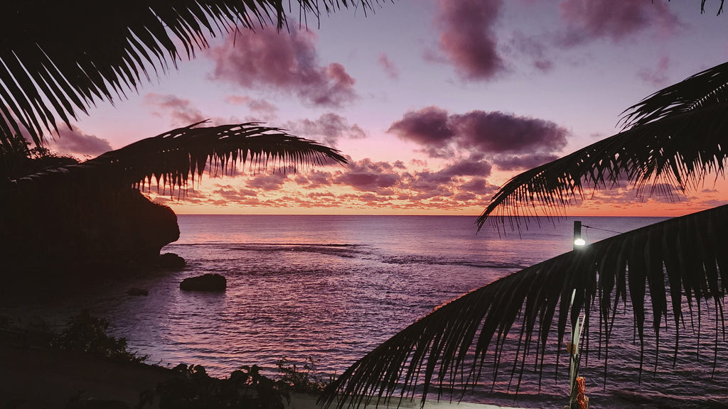 Niue Ocean Escape 2026 — Swim with Humpback Whales · 28 Aug – 4 Sep Freedive Aotearoa