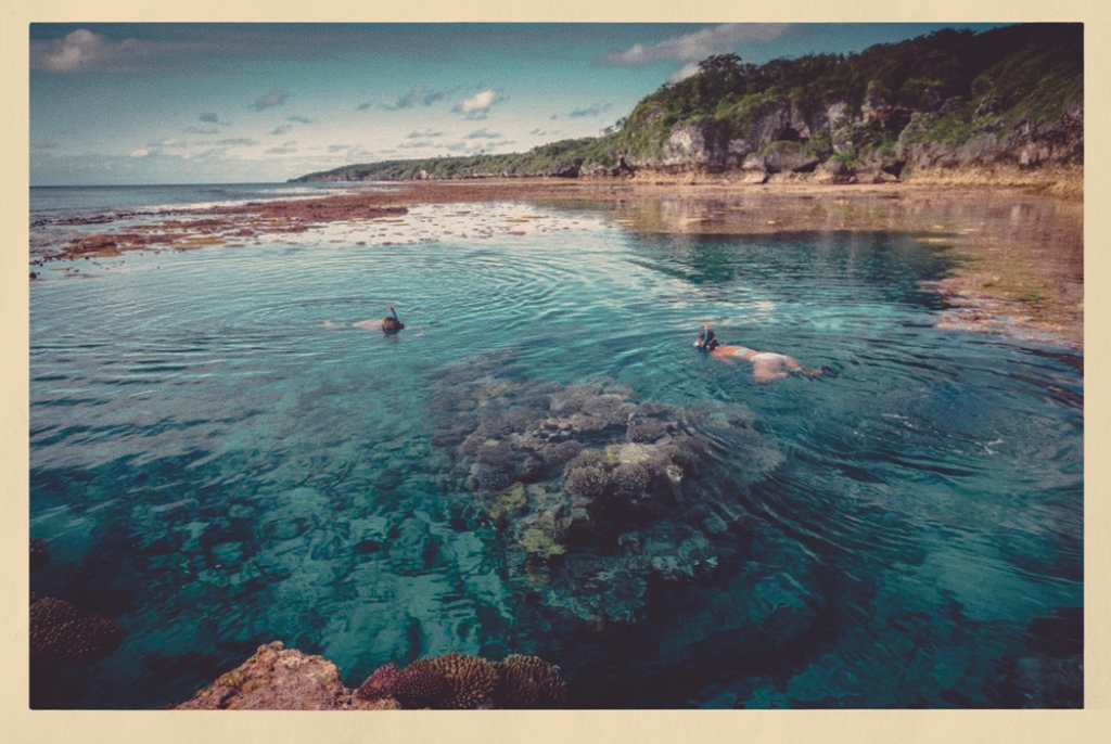 Niue Ocean Escape 2026 — Swim with Humpback Whales · 28 Aug – 4 Sep Freedive Aotearoa