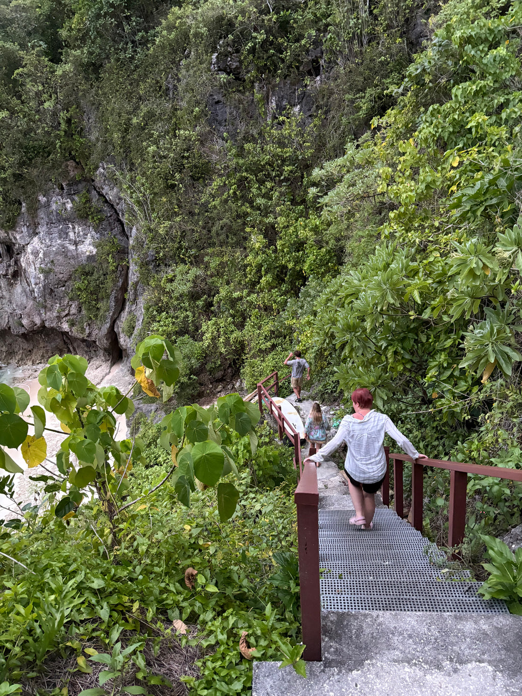 Niue Ocean Escape 2026 Swim with Humpback Whales 28 Aug – 4 Sep