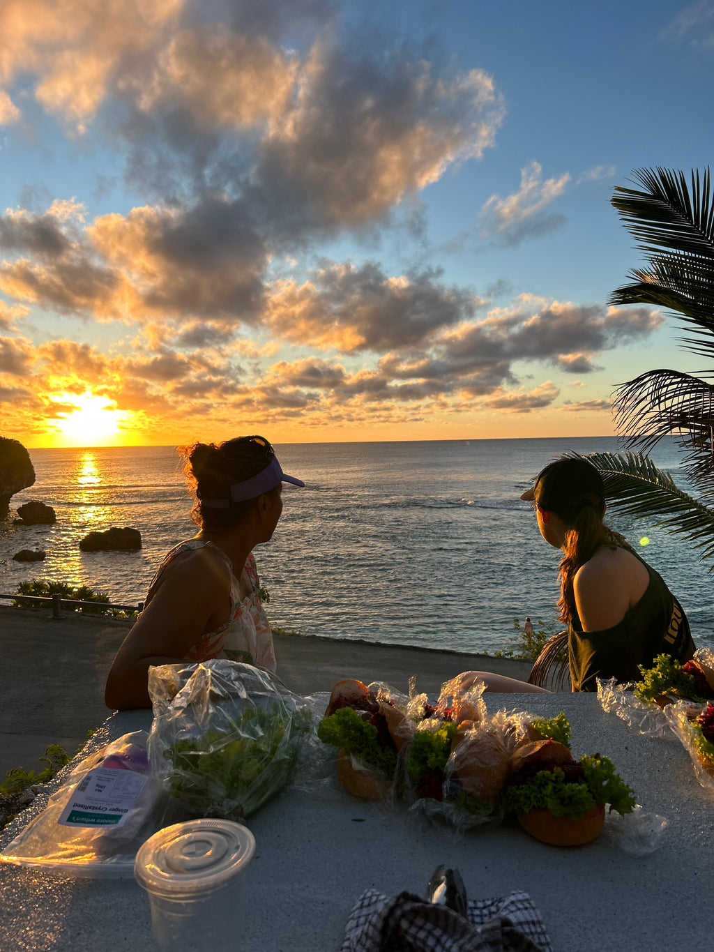 Niue Ocean Escape 2026 Swim with Humpback Whales 28 Aug – 4 Sep