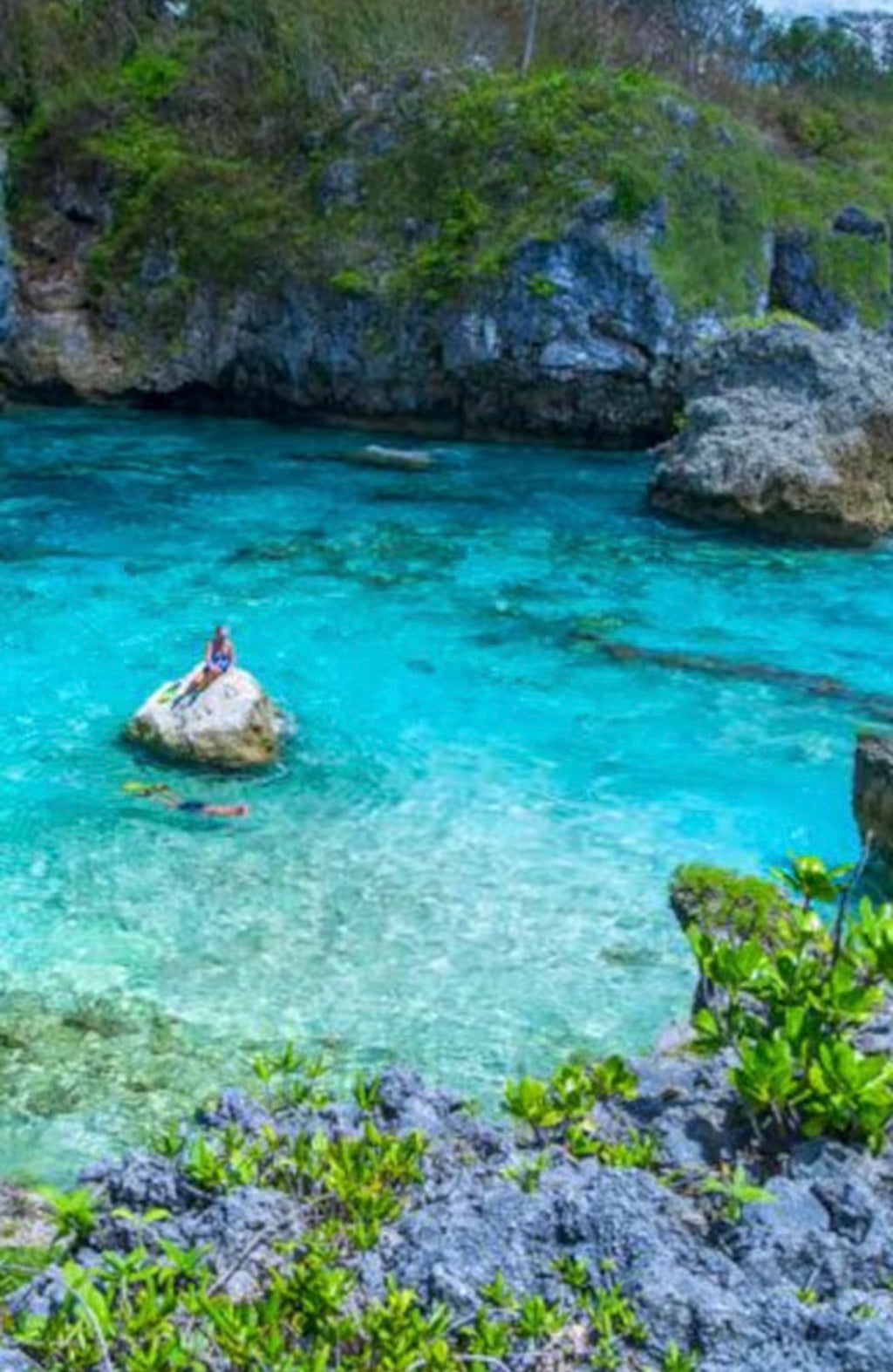 Niue Ocean Escape 2026 Swim with Humpback Whales 28 Aug – 4 Sep
