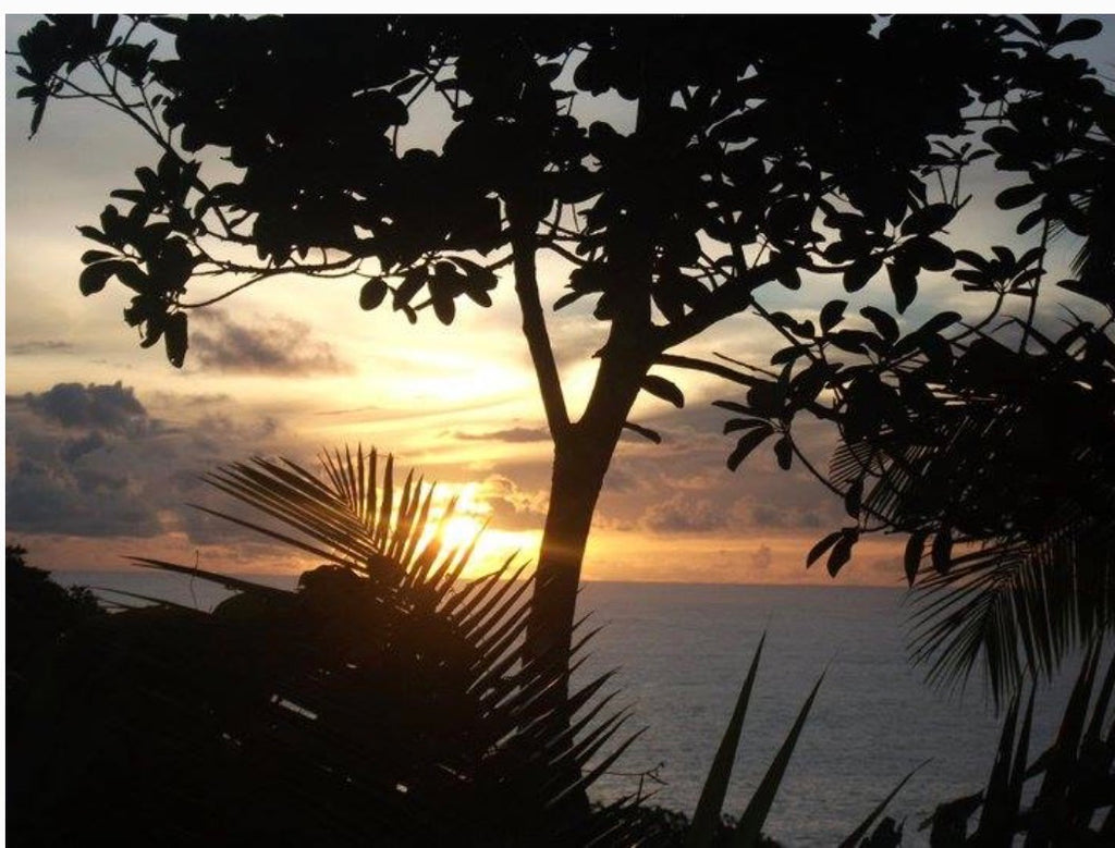 Niue Ocean Escape 2026 Swim with Humpback Whales 28 Aug – 4 Sep