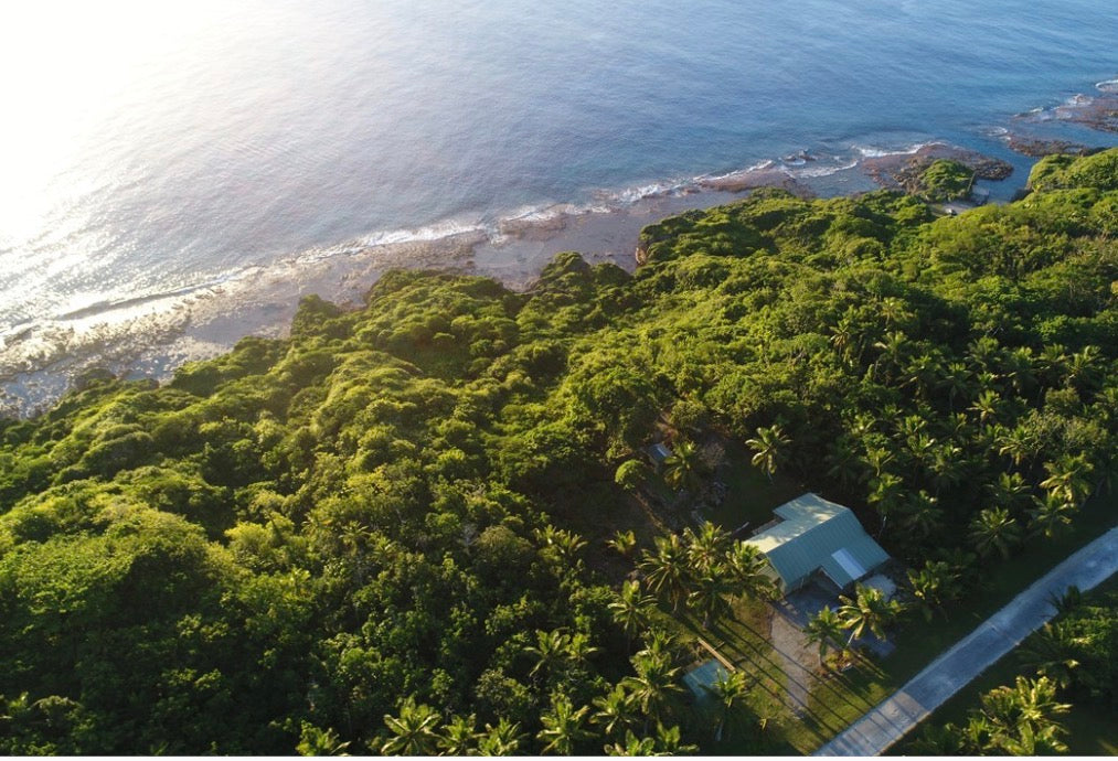 Niue Ocean Escape 2026 Swim with Humpback Whales 28 Aug – 4 Sep