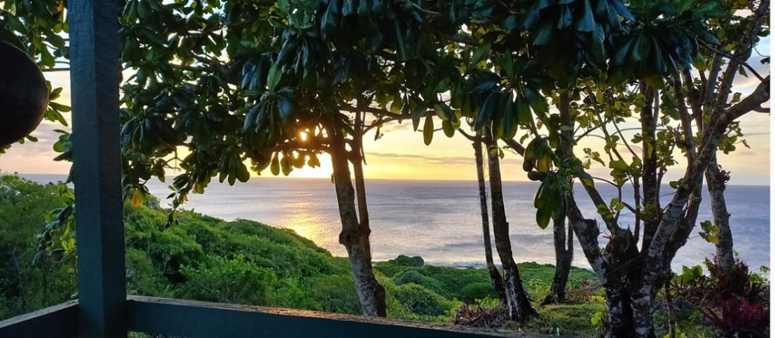 Niue Ocean Escape 2026 Swim with Humpback Whales 28 Aug – 4 Sep