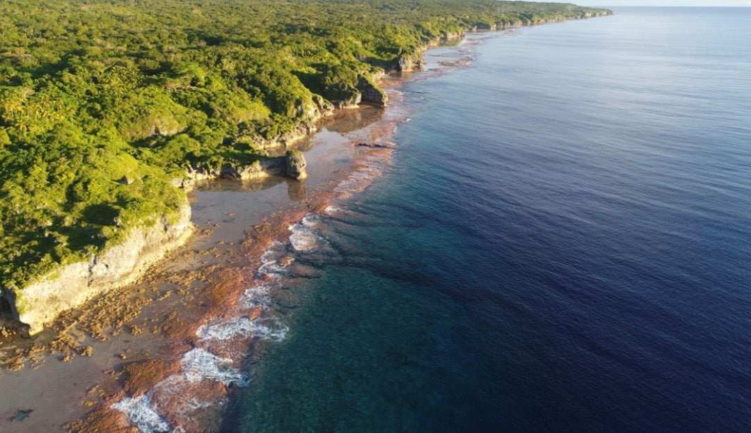Niue Ocean Escape 2026 Swim with Humpback Whales 28 Aug – 4 Sep