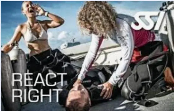 SSI React Right first aid, CPR and AED course running at the Freedive Aotearoa studio in Paihia, Bay of Islands