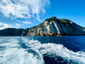 Tawhiti Rahi and Aorangi, the Poor Knights Islands, from the boat