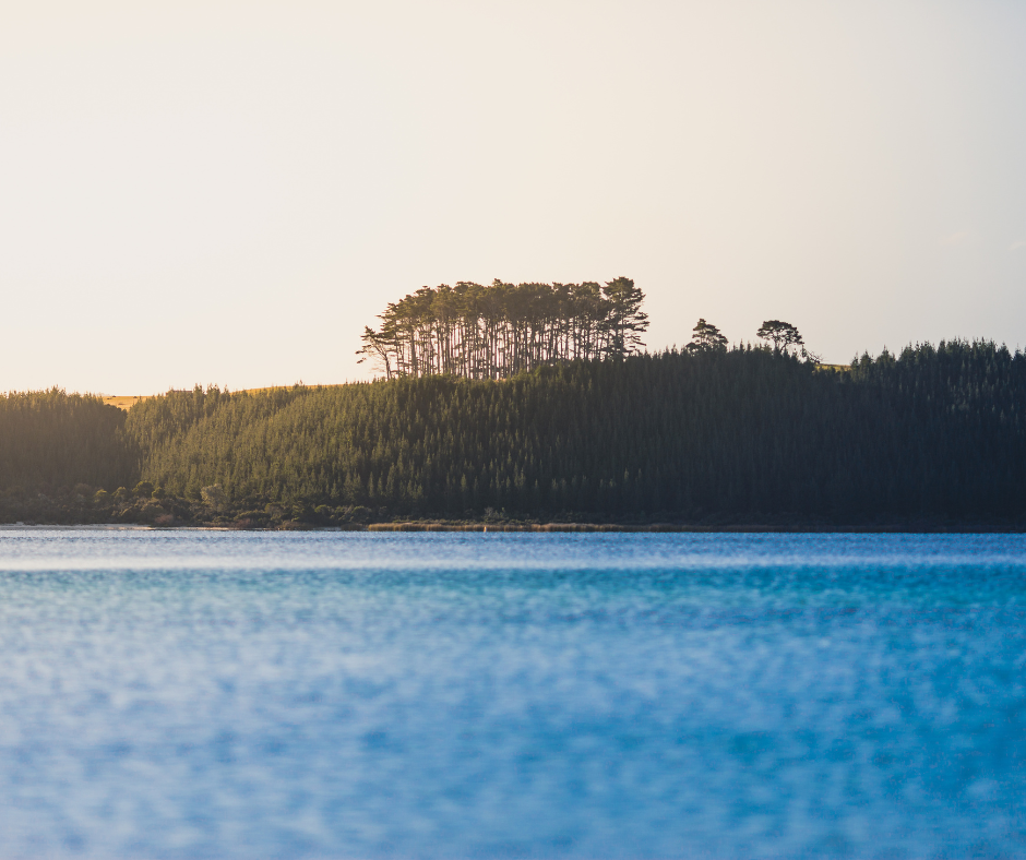 Clear water freediving — Kai Iwi Lakes