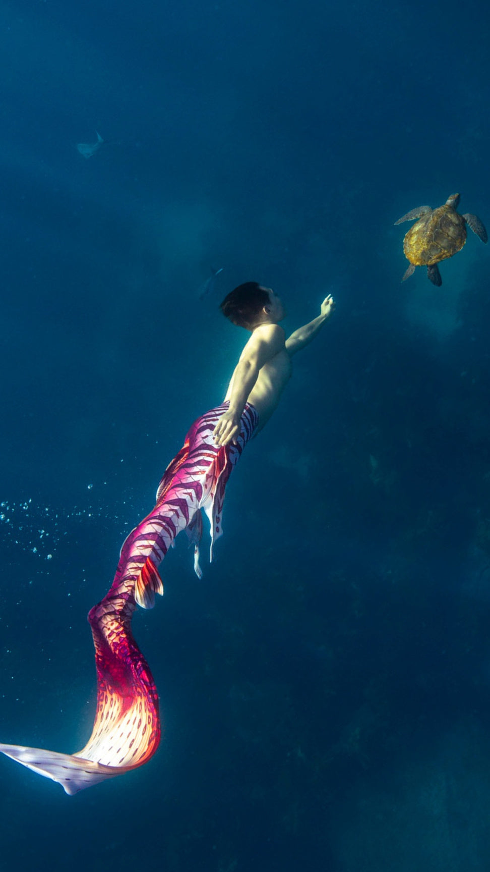 Mermaid swimming with a sea turtle