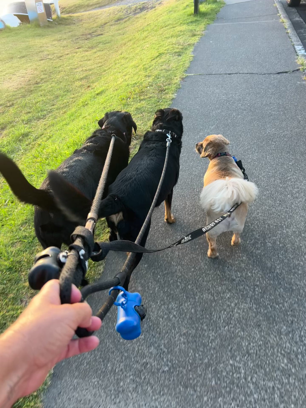 Calm on Both Ends of the Lead — Dog Handler Breathwork
