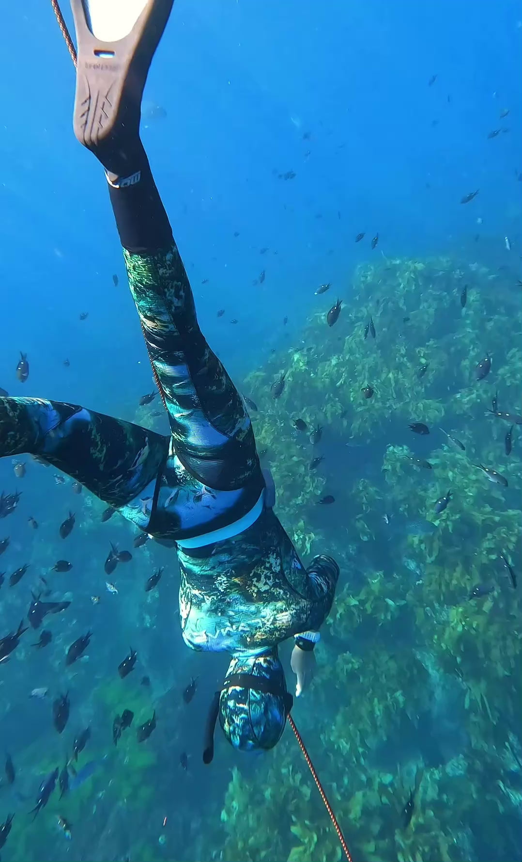 SSI Freedive Level 1 students practising static apnea and finning technique in the Bay of Islands, with Freedive Aotearoa instructors