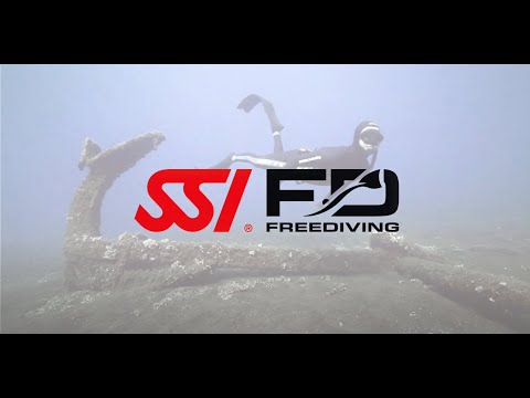SSI Freedive Level 1 in the Bay of Islands
